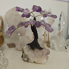 Load image into Gallery viewer, Amethyst Bonsai Tree
