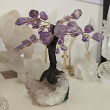 Load image into Gallery viewer, Amethyst Bonsai Tree
