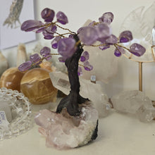 Load image into Gallery viewer, Amethyst Bonsai Tree
