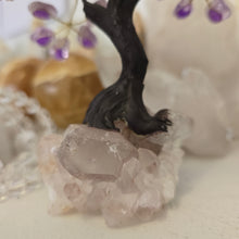 Load image into Gallery viewer, Amethyst Bonsai Tree
