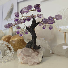 Load image into Gallery viewer, Amethyst Bonsai Tree
