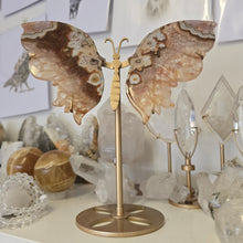 Load image into Gallery viewer, Crazy Lace Agate Wings
