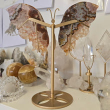 Load image into Gallery viewer, Crazy Lace Agate Wings
