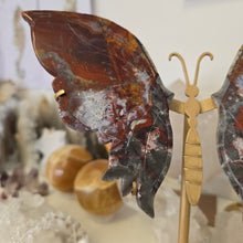 Load image into Gallery viewer, Ocean Jasper Wings
