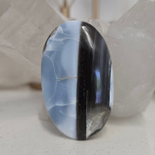 Load image into Gallery viewer, Owyhee Blue Opal Palmstone

