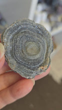 Load and play video in Gallery viewer, Chalcedony Agate Slice
