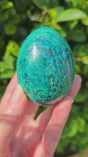 Load and play video in Gallery viewer, Chrysocolla Egg
