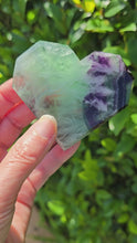 Load and play video in Gallery viewer, Feather Fluorite Heart - faceted

