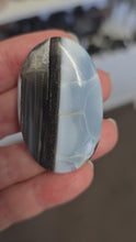 Load and play video in Gallery viewer, Owyhee Blue Opal Palmstone
