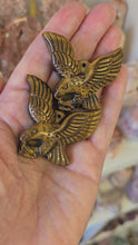 Load and play video in Gallery viewer, Tiger&#39;s Eye Eagle
