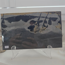 Load image into Gallery viewer, Picture Jasper Book
