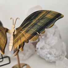 Load image into Gallery viewer, Tiger Eye Butterfly with Stand
