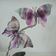 Load image into Gallery viewer, Rainbow Fluorite Butterfly Set

