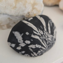 Load image into Gallery viewer, Chrysanthemum Stone Palmstone

