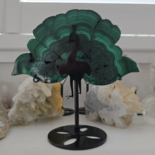 Load image into Gallery viewer, Malachite Peacock
