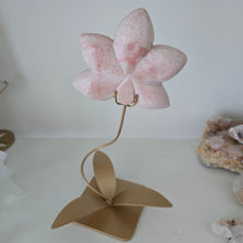 Load image into Gallery viewer, Pink Opal Orchid
