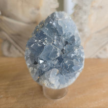 Load image into Gallery viewer, Celestite Cluster Egg
