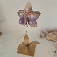 Load image into Gallery viewer, Amethyst Crazy Lace Agate Orchid
