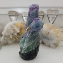 Load image into Gallery viewer, Fluorite Owl in Tree Stump

