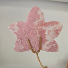 Load image into Gallery viewer, Pink Opal Orchid
