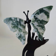 Load image into Gallery viewer, Playful Cat - 2 Butterflies
