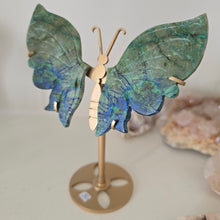 Load image into Gallery viewer, Azurite Malachite Butterfly Wings
