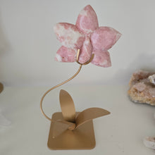 Load image into Gallery viewer, Pink Opal Orchid
