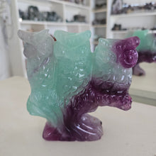 Load image into Gallery viewer, Rainbow Fluorite Owls
