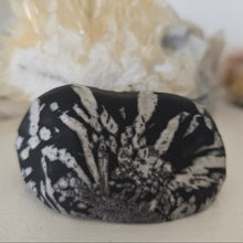Load image into Gallery viewer, Chrysanthemum Stone Palmstone
