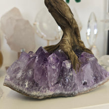 Load image into Gallery viewer, Green Quartz Bonsai Tree on Amethyst Cluster

