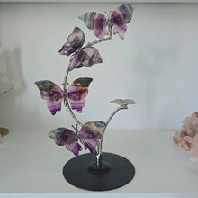 Load image into Gallery viewer, Rainbow Fluorite Butterfly Set
