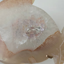 Load image into Gallery viewer, Agate Amethyst Fish
