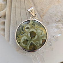 Load image into Gallery viewer, Australian Rainforest Jasper Sterling Silver Pendant
