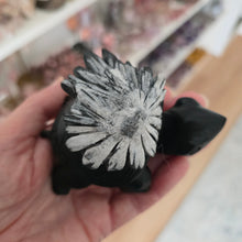 Load image into Gallery viewer, Chrysanthemum Stone Turtle

