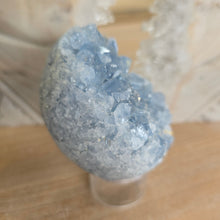 Load image into Gallery viewer, Celestite Cluster Egg
