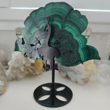 Load image into Gallery viewer, Malachite Peacock
