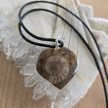 Load image into Gallery viewer, Ammonite Fossil Heart Necklace

