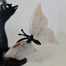 Load image into Gallery viewer, Playful Cat - 2 Butterflies
