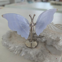 Load image into Gallery viewer, Blue Lace Agate Butterfly Wings
