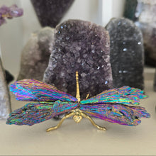 Load image into Gallery viewer, Aura Kyanite Dragonfly - Rainbow
