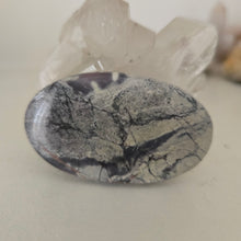 Load image into Gallery viewer, Porcelain Jasper Palmstone
