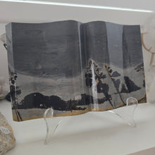 Load image into Gallery viewer, Picture Jasper Book
