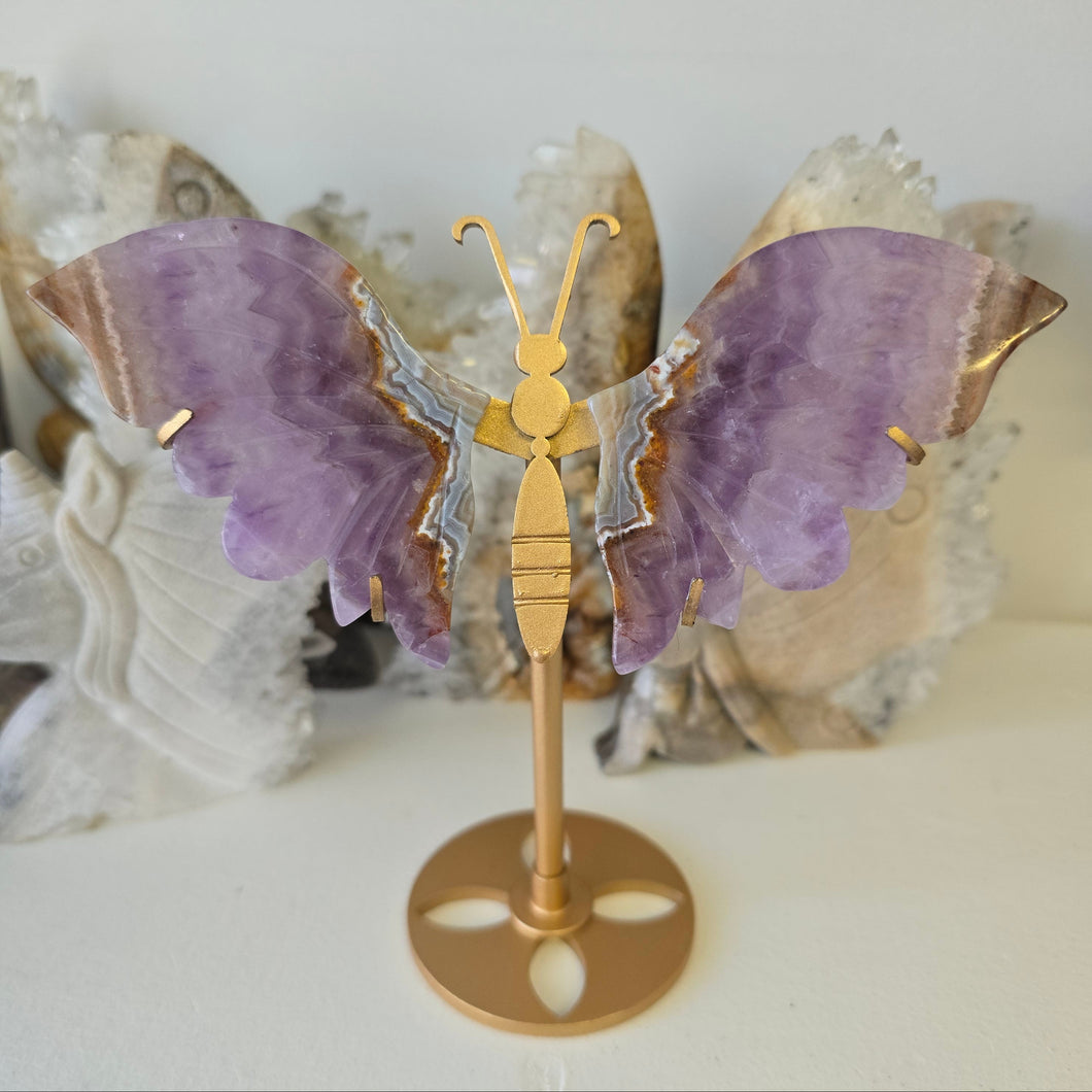 Amethyst Crazy Lace Agate Butterfly Wings