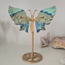 Load image into Gallery viewer, Azurite Malachite Butterfly Wings
