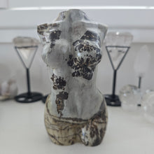 Load image into Gallery viewer, Picture Jasper Goddess Body
