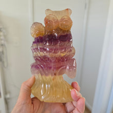 Load image into Gallery viewer, Rainbow Fluorite Owl

