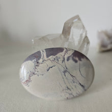 Load image into Gallery viewer, Porcelain Jasper Palmstone
