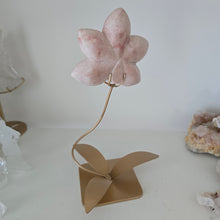 Load image into Gallery viewer, Pink Opal Orchid
