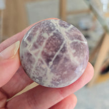 Load image into Gallery viewer, Porcelain Jasper Round Palmstone
