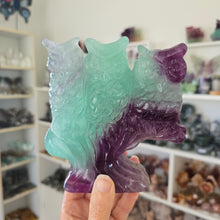 Load image into Gallery viewer, Rainbow Fluorite Owls
